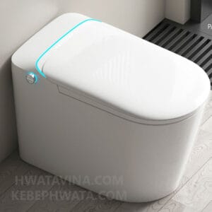 Bồn cầu Hwata HT-D81C